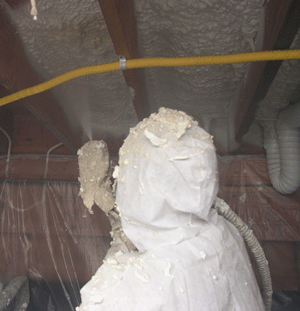 Tallahassee FL crawl space insulation